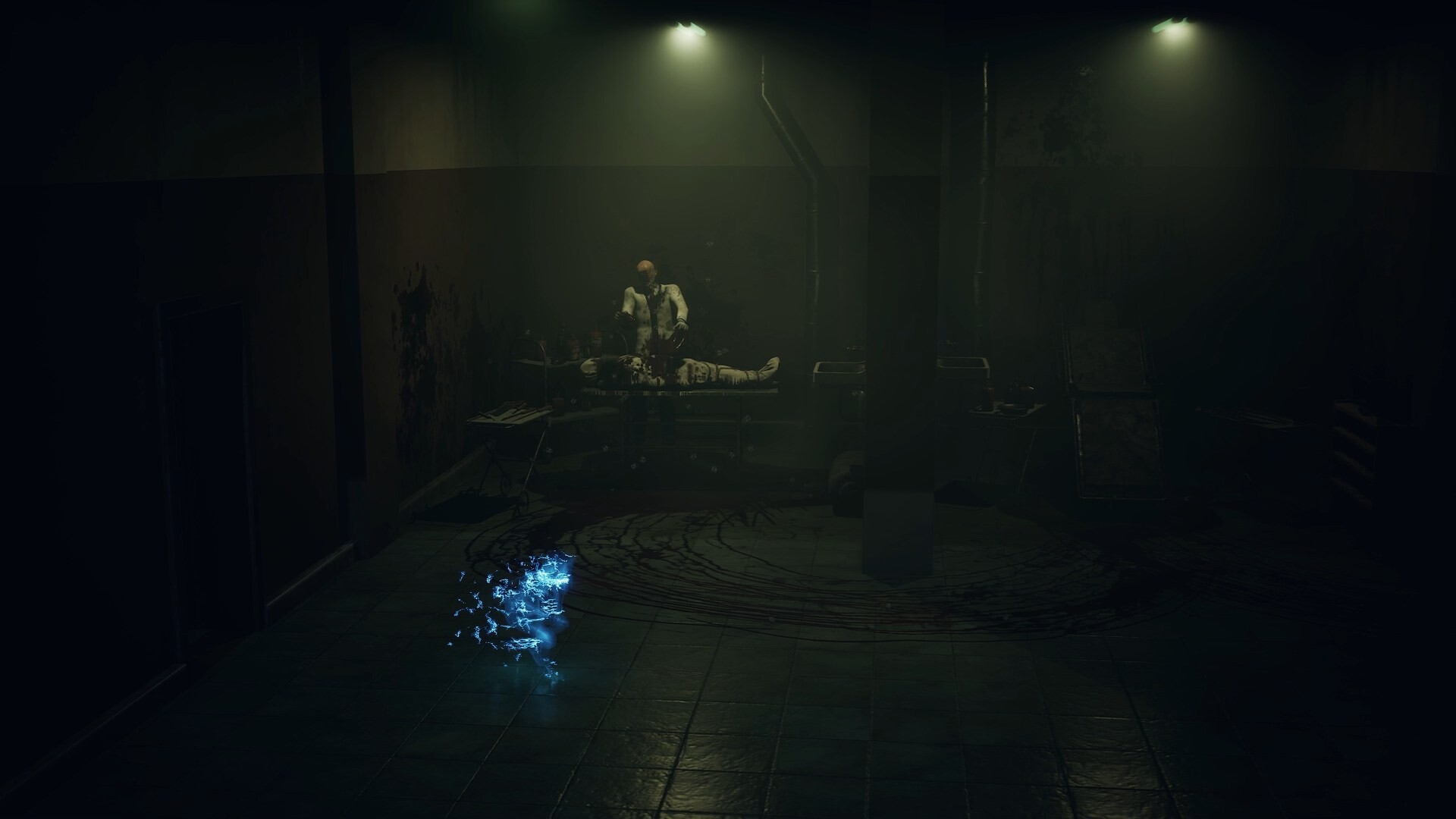 寂静之国的波斯菊/Ayasa: Shadows of Silence-Ferry资源网