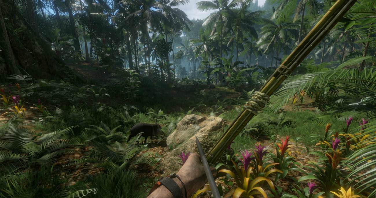 《绿色地狱》v2.5.2中文版-趣奇资源网-第10张图片